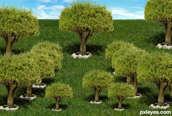 Creation of Trees Everywhere: Final Result